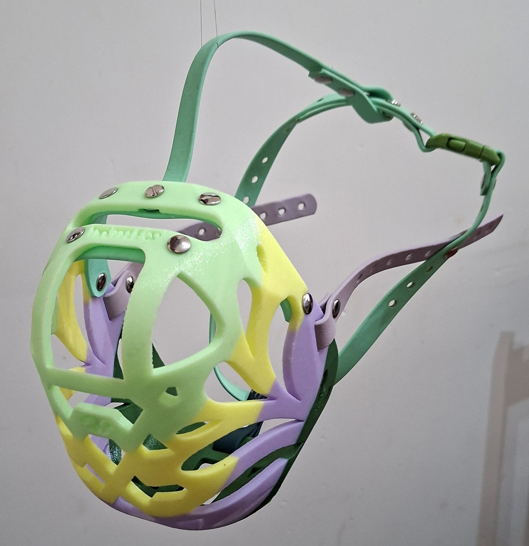 TPU Ravi - Image 2