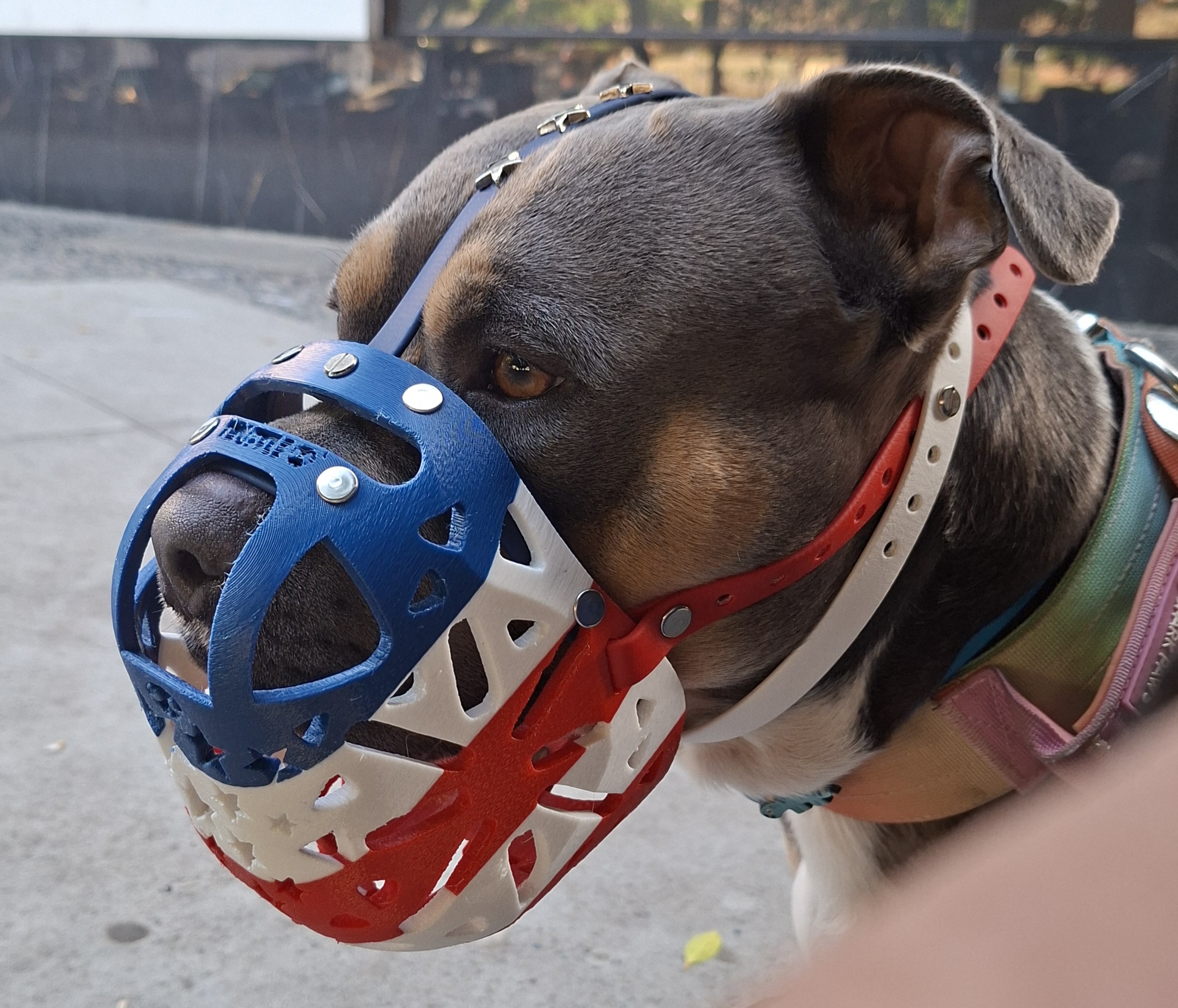 TPU Stars & Stripes