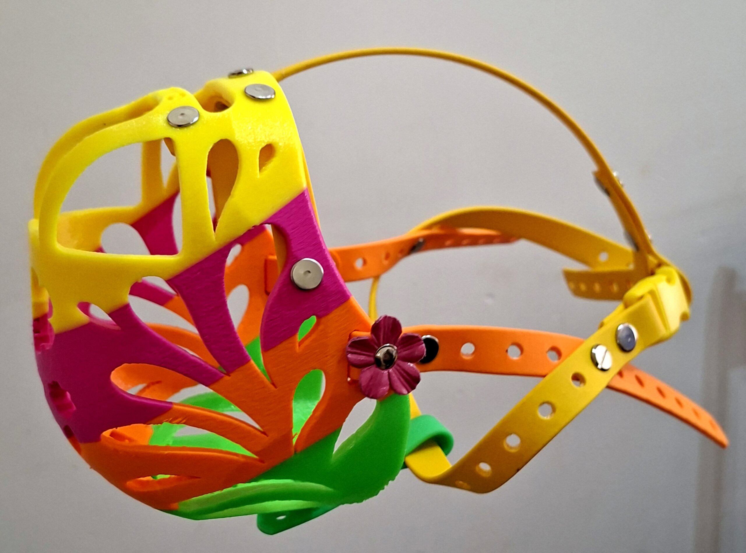 TPU Spring - Image 2